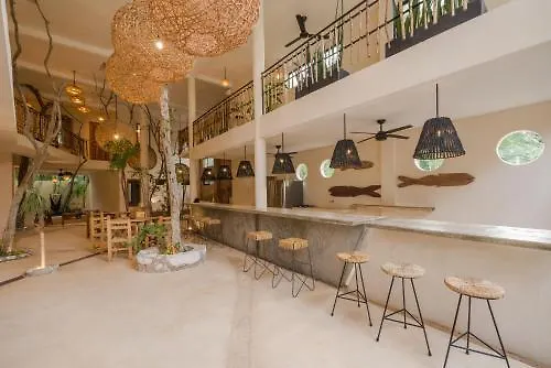 Koos Tulum Hotel Mexico