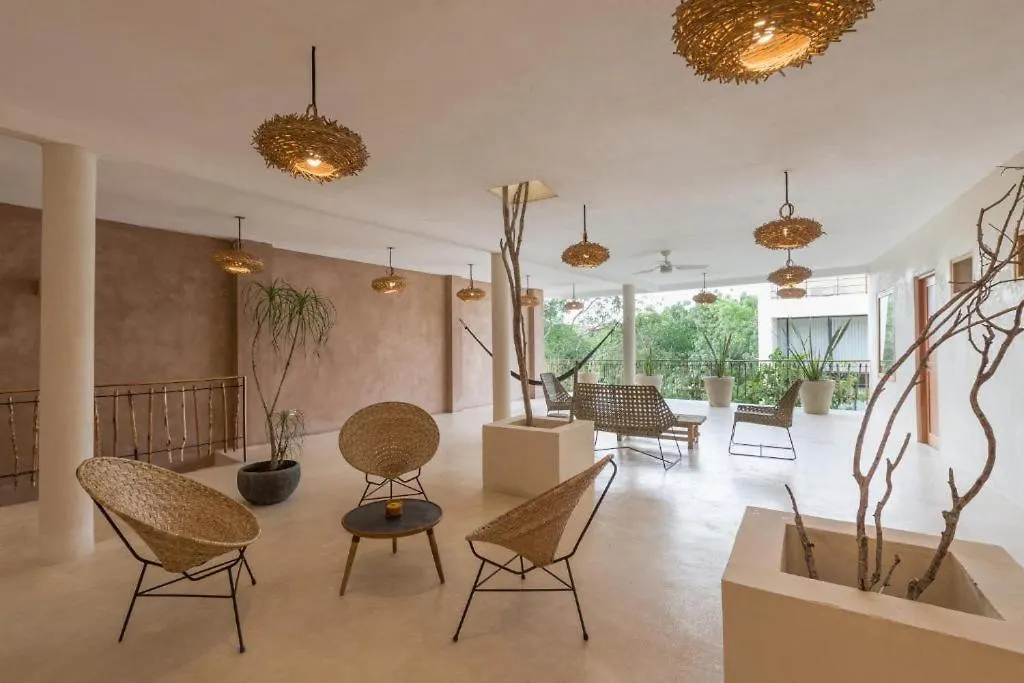 Koos Tulum Hotel Mexico