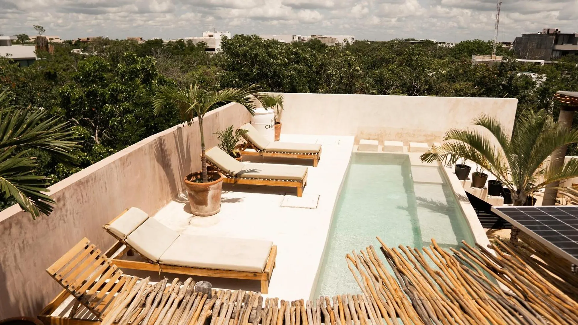 Koos Tulum Hotel Mexico